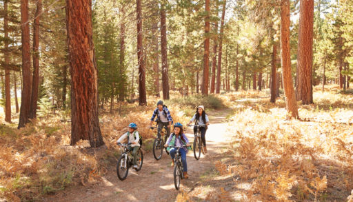 Family biking through forest on trail
