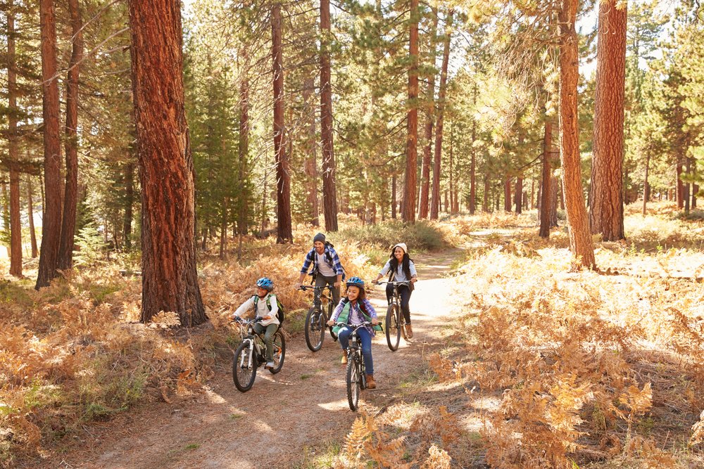 Family biking through forest on trail
