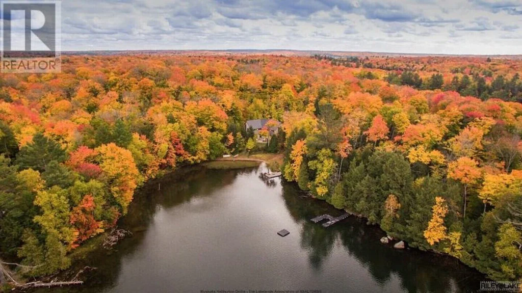 View of the cottage's waterfront