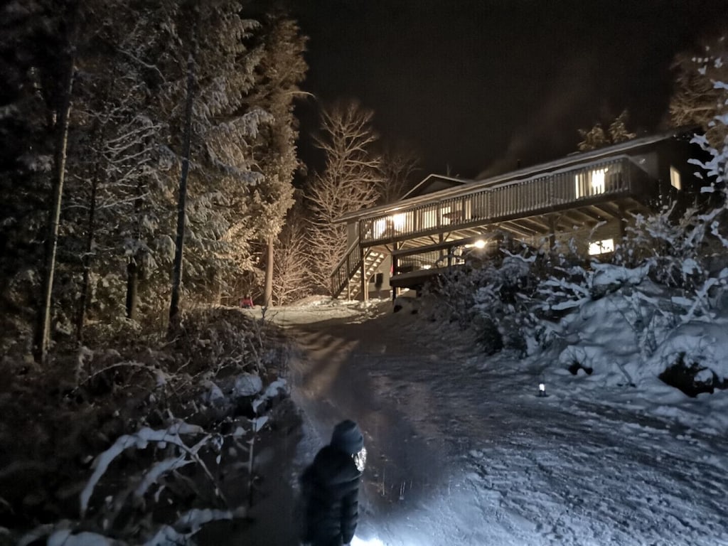 Cottage driveway in the winter