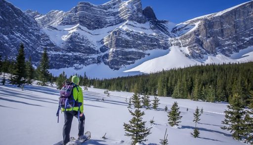 Snowshoeing in Alberta