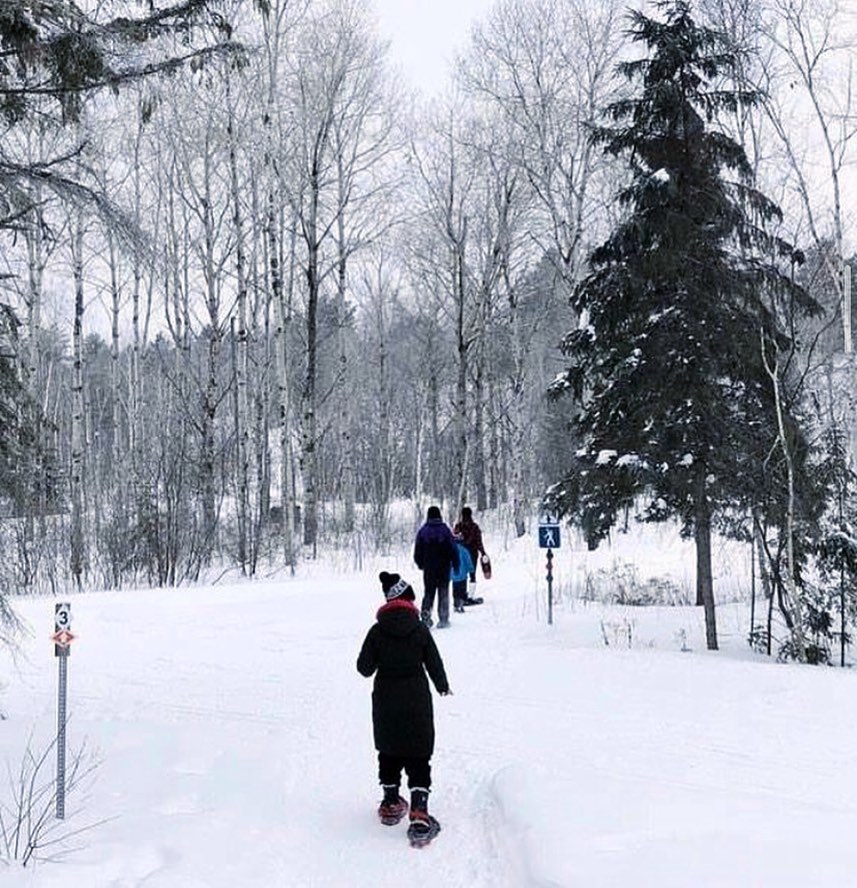 Snowshoeing in Kivi park