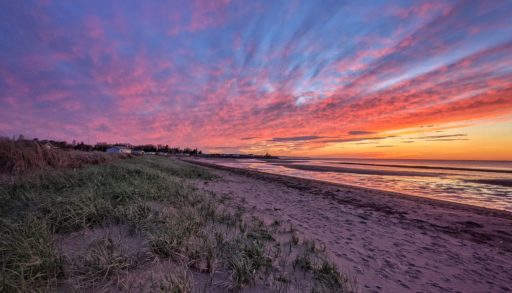 Peacock cove sunset at the beach