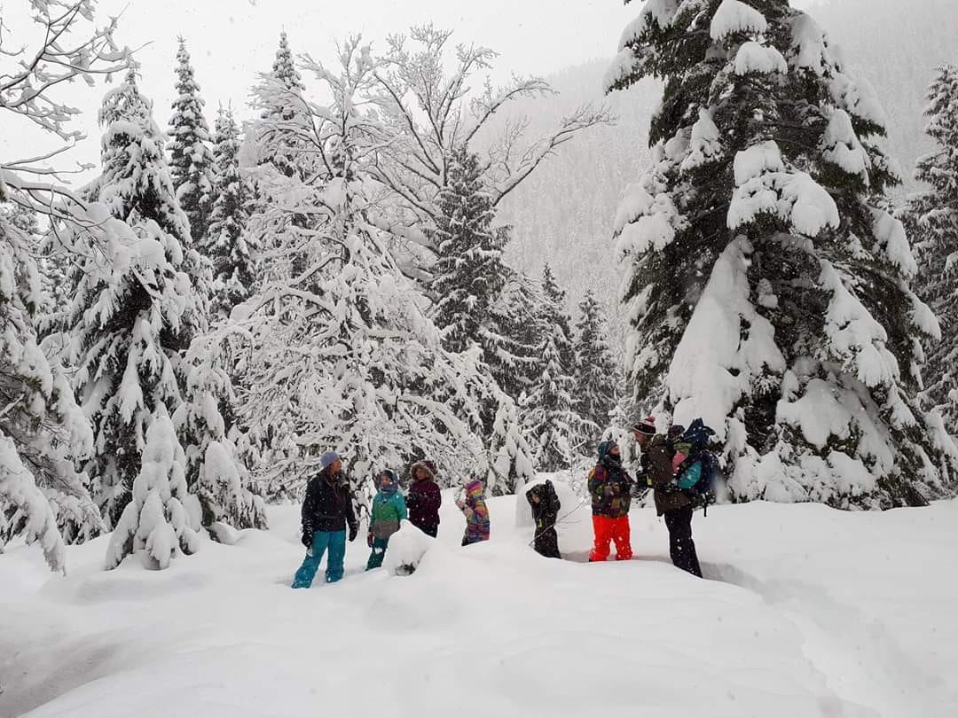 Snowshoeing in Nelson, B.C.