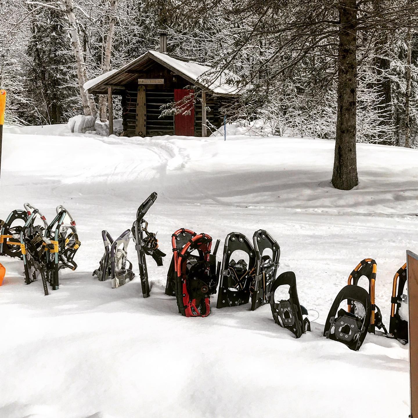 Snowshoes in the snow