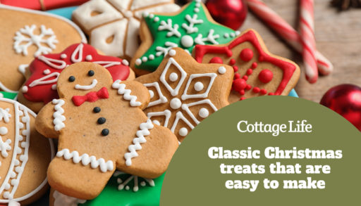 Tasty homemade Christmas cookies on blue plate, closeup view