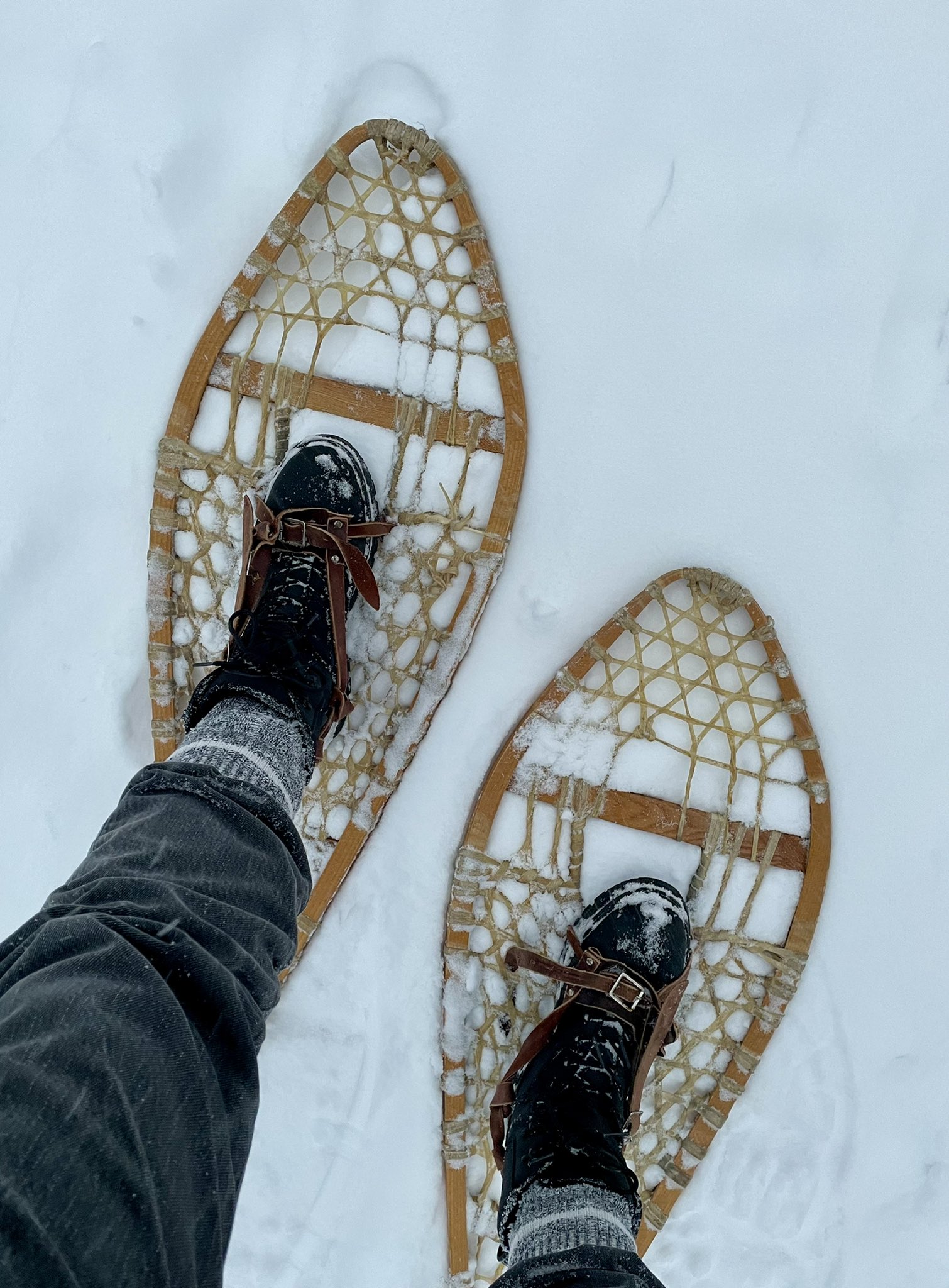 snowshoes