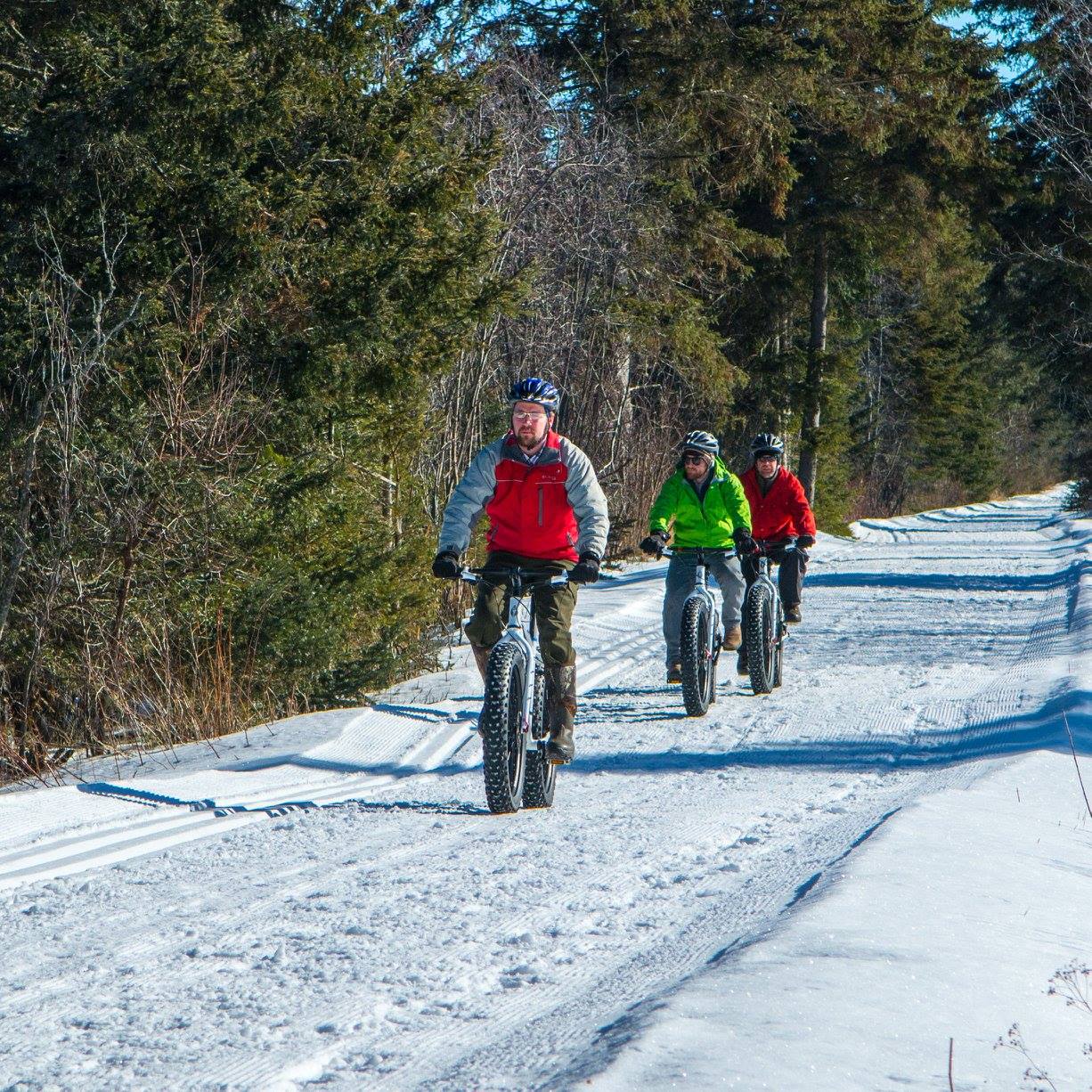 Three people fat biking on snowy trail