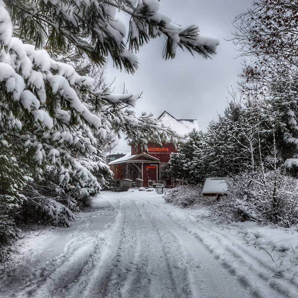 Fat biking trails with snow