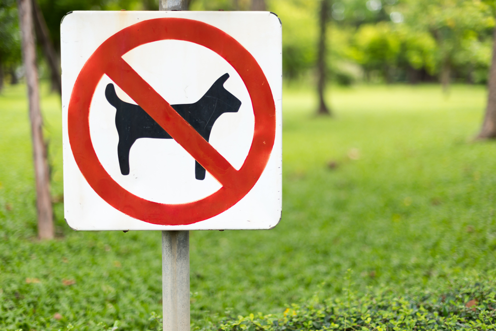 no pets allowed sign