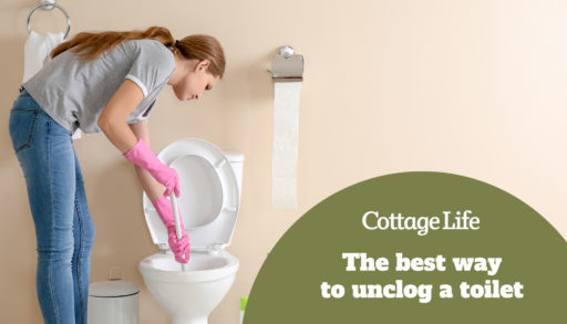 Woman cleaning toilet bowl in bathroom