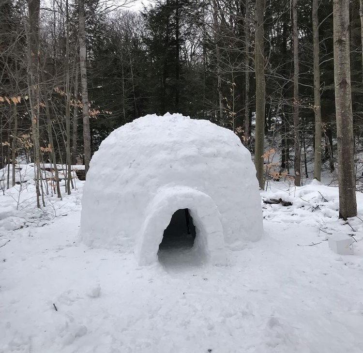 A igloo surrounded by trees.