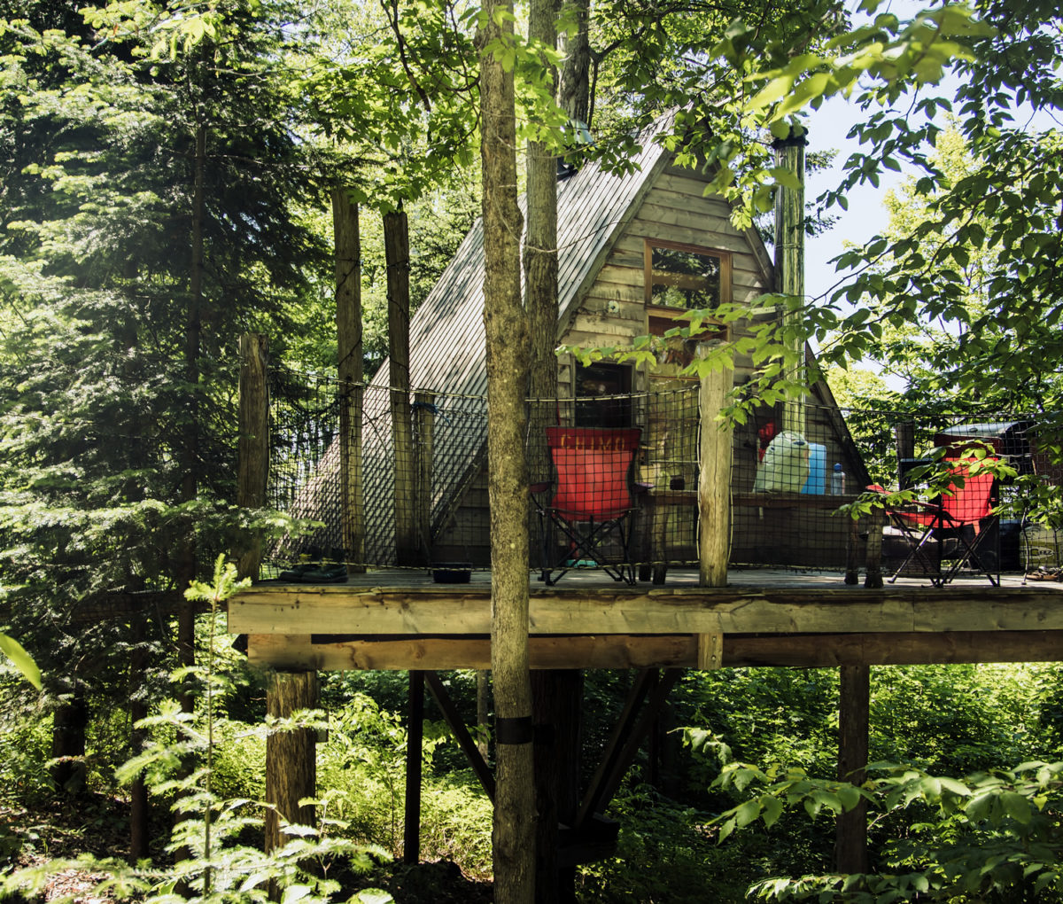 an A frame in the trees, hipcamp booking site