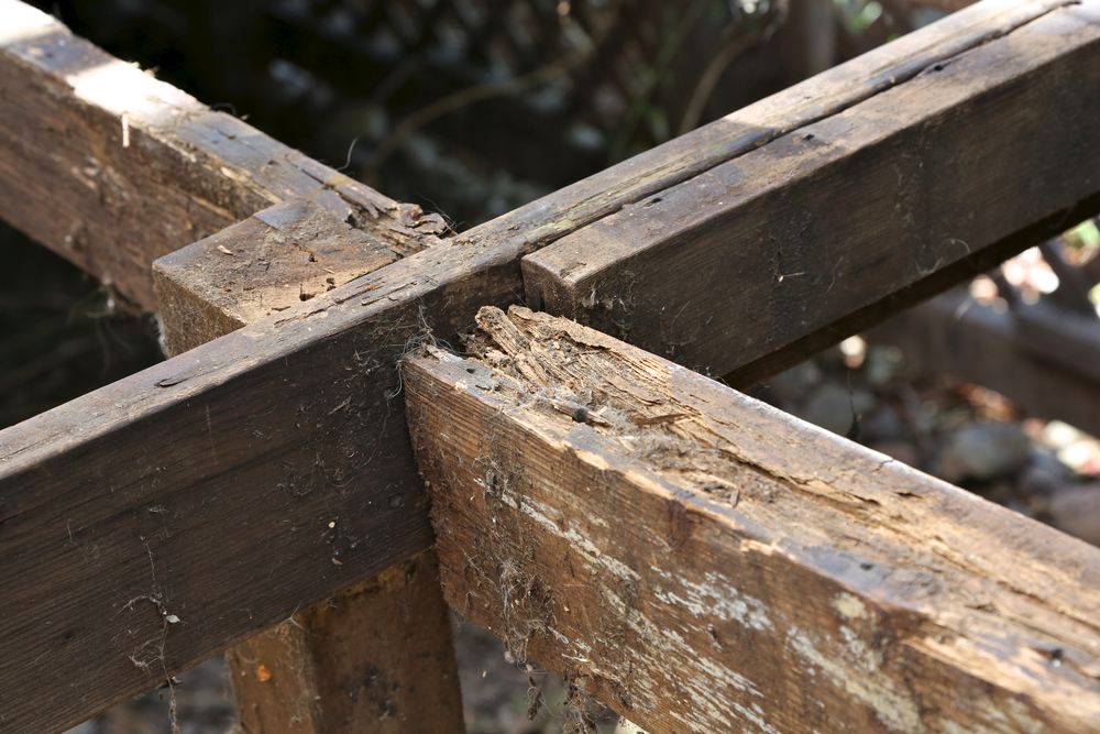 A close up of rotted deck support boards