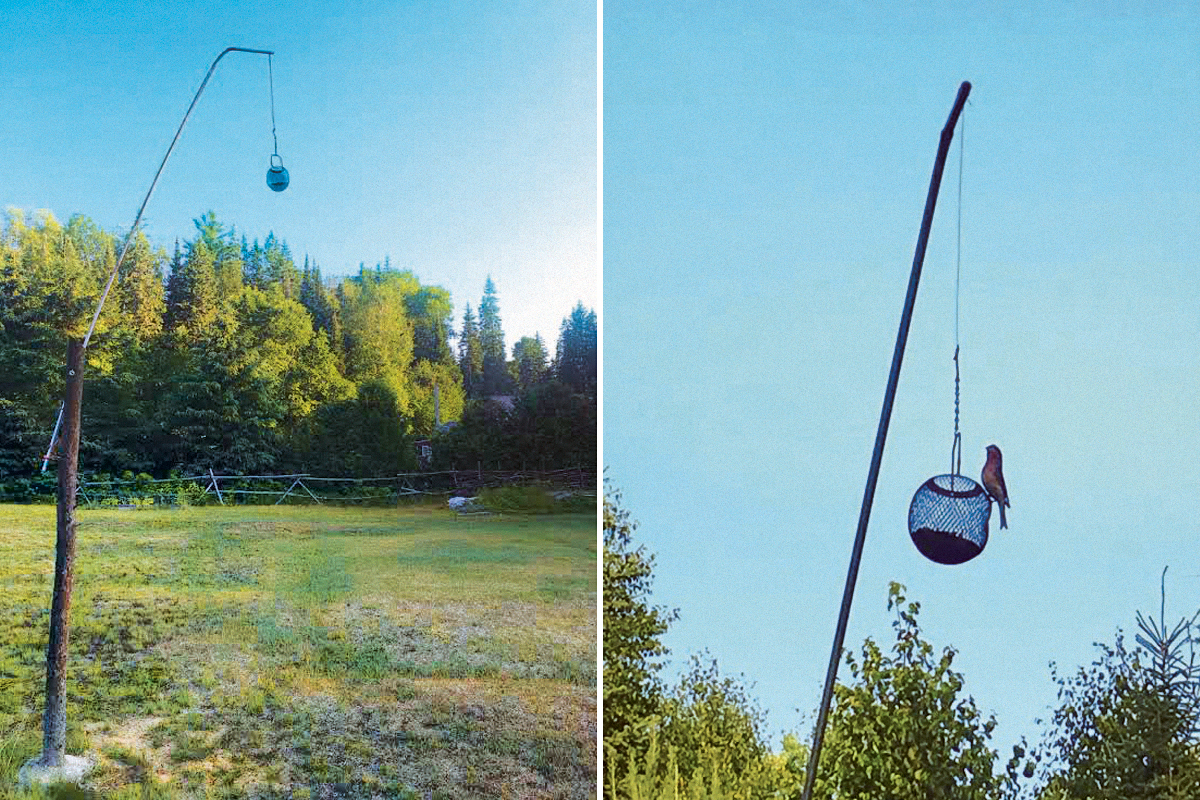 photo of Mark's bear-proof bird feeder on a post dangling