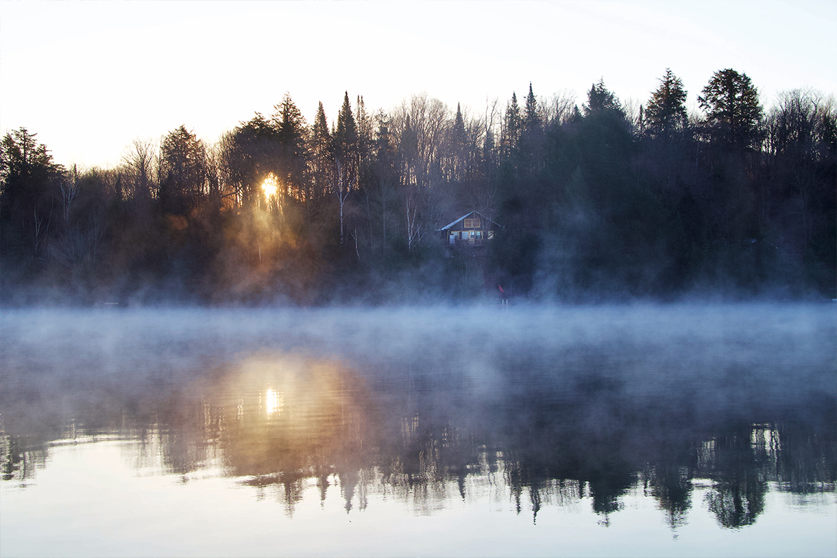 Sun through the trees on a misty morning