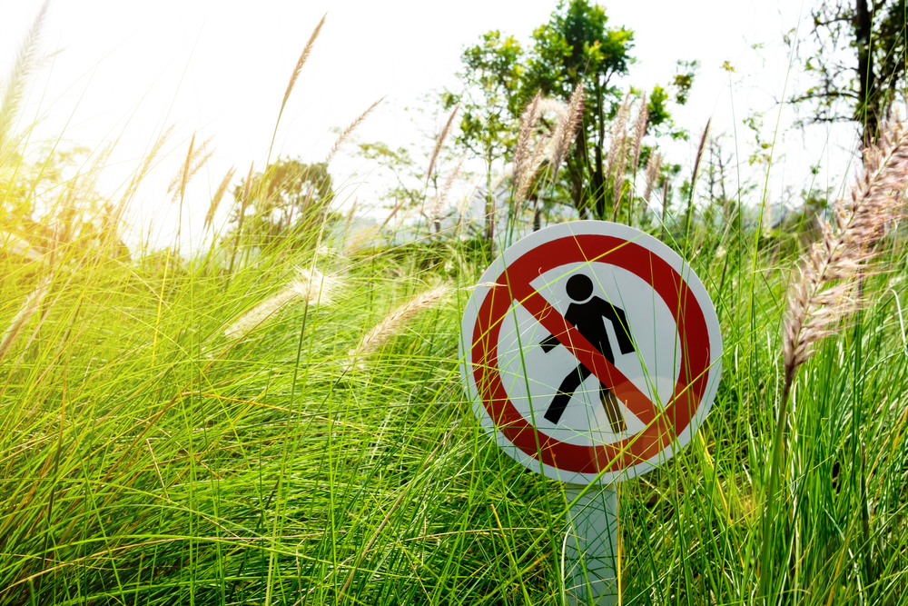 A No Trespassing sign posted in weedy grass