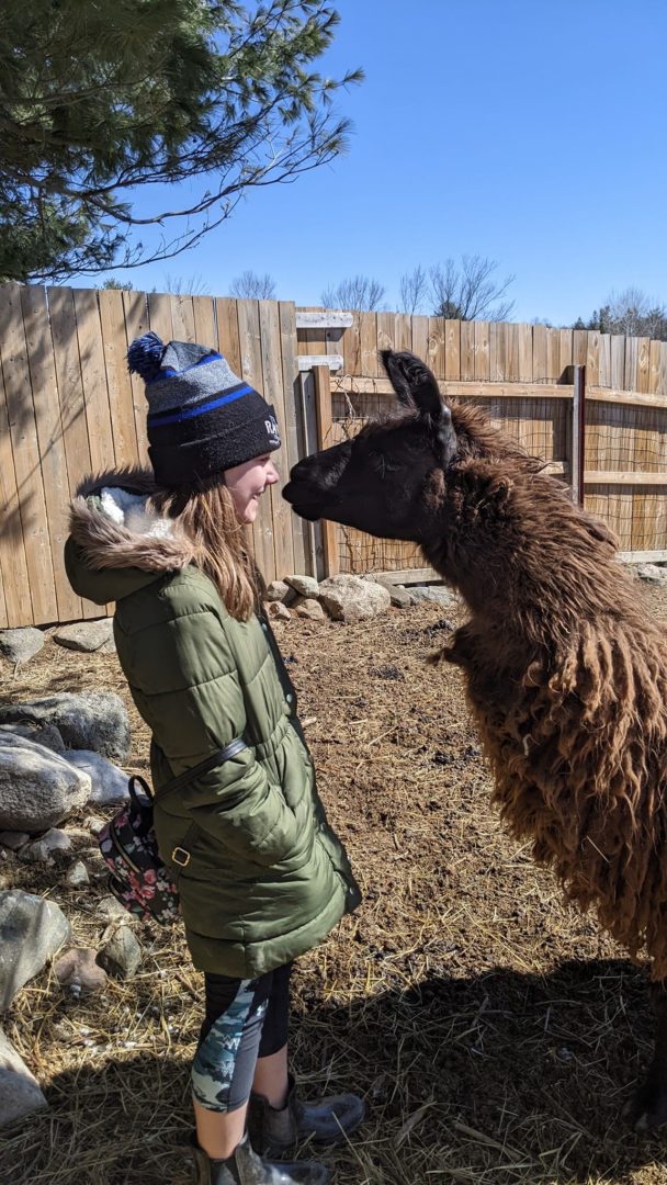 Person hanging out with a llama