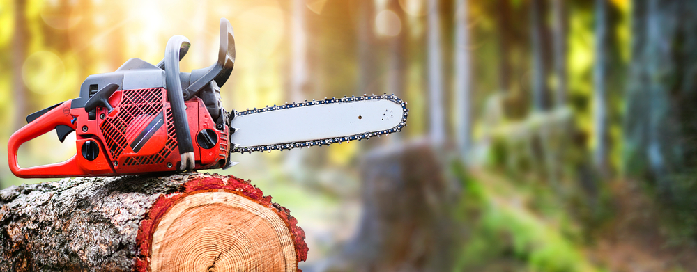 A chainsaw resting on a wood stump