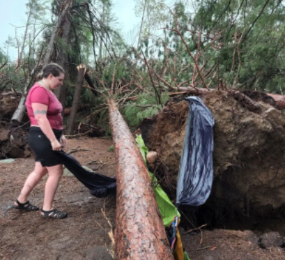 Woman is cleaning up the remains of her tent that has been crushed by a tree.