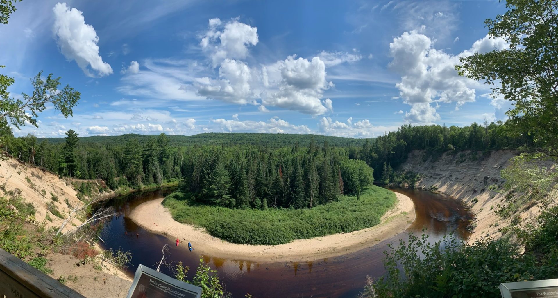 A cluster of green trees stand in the middle of a small sandy island on a lake.