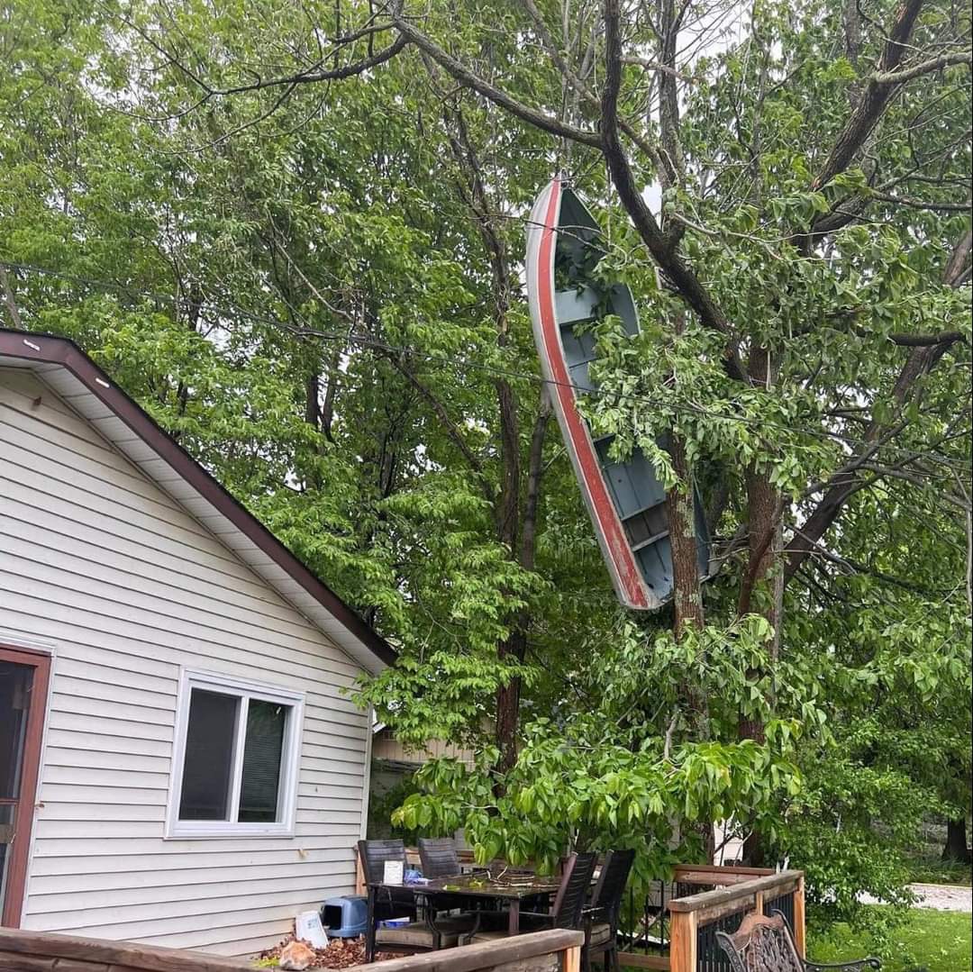 Row boat launched into a tree, located in a person's backyard.