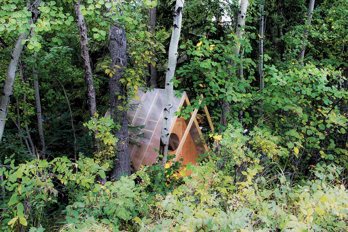 bird hut tucked into the trees