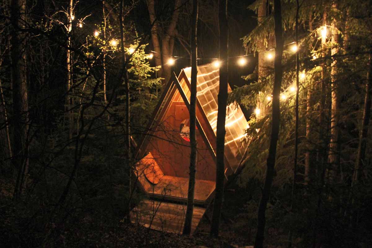 nighttime shot of the bird hut illuminated by string lights hanging in the trees above it