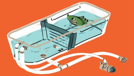 Cartoon illustration of fish in a live well