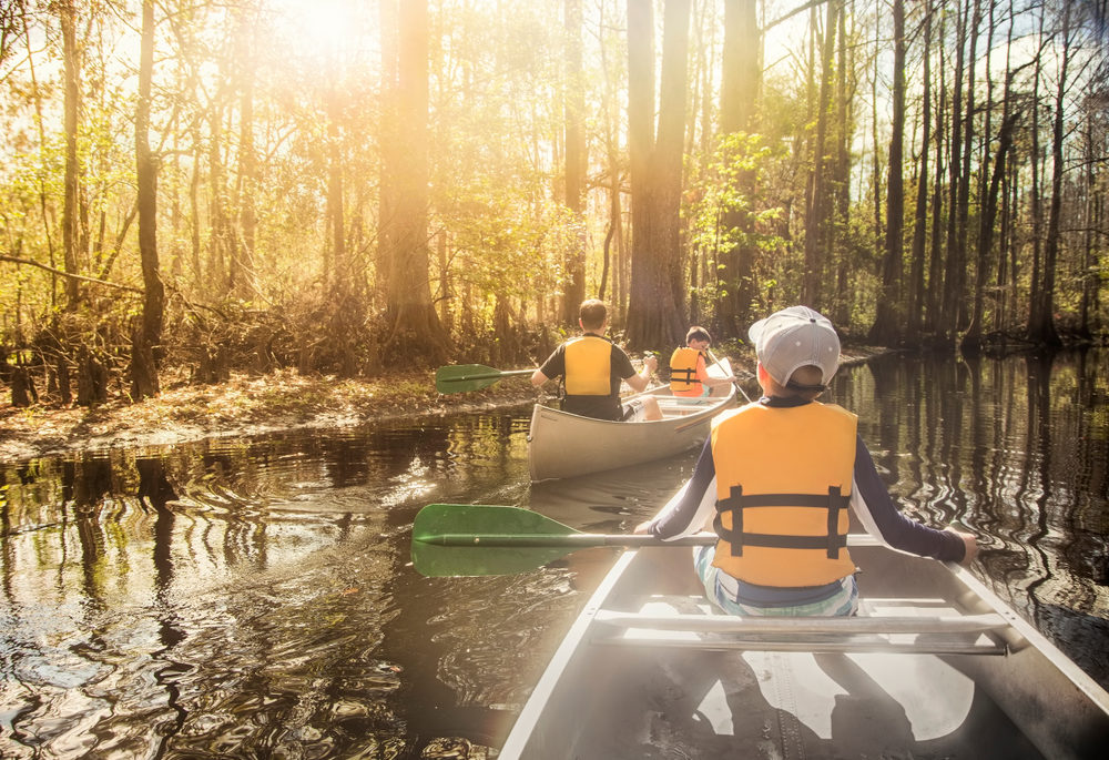 A family canoeing down a narrow river, surrounded by trees