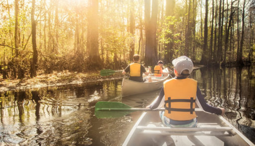 A family canoeing down a narrow river, surrounded by trees