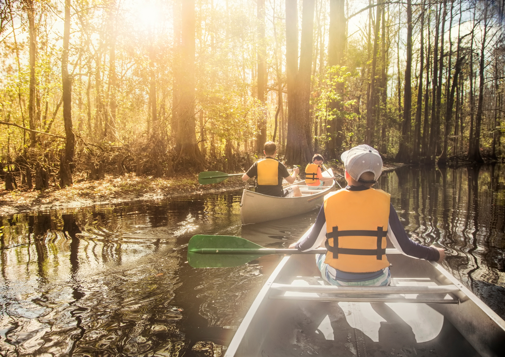 A family canoeing down a narrow river, surrounded by trees