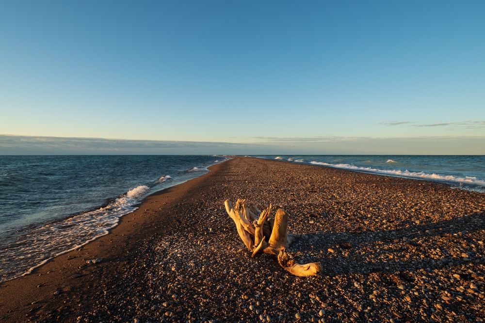 Driftwood casting long shadow on the pebble beach at sunrise at the Point Pelee tip of the Point Pelee National Park, essex county
