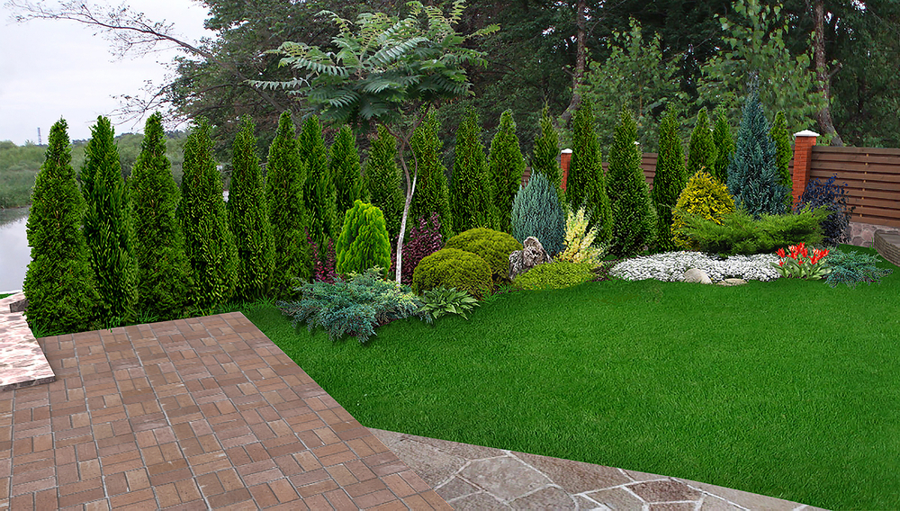 Landscaped property with evergreens as privacy screens