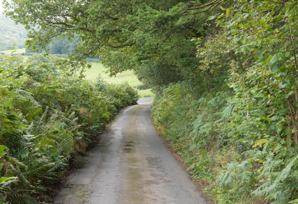 A narrow right-of-way road in the country