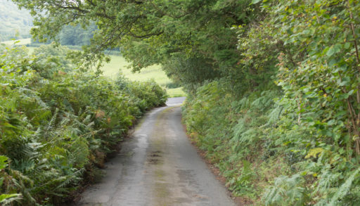 A narrow right-of-way road in the country