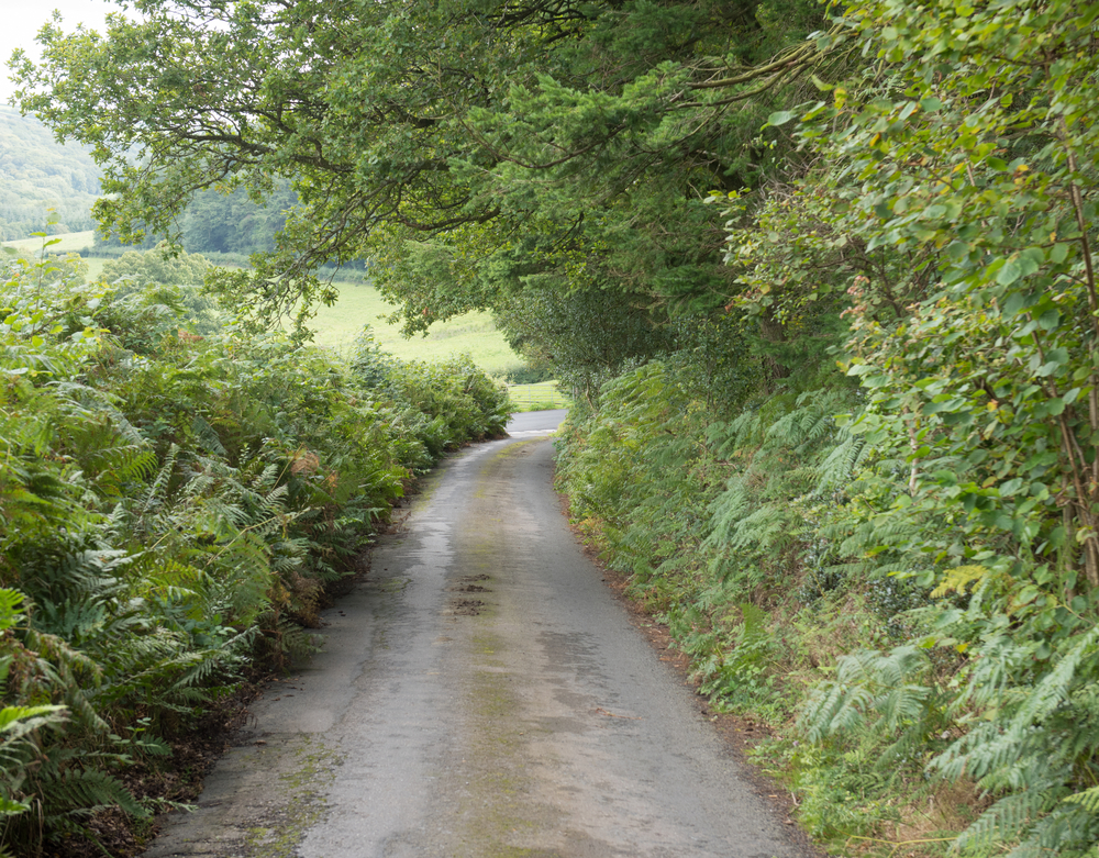 A narrow right-of-way road in the country