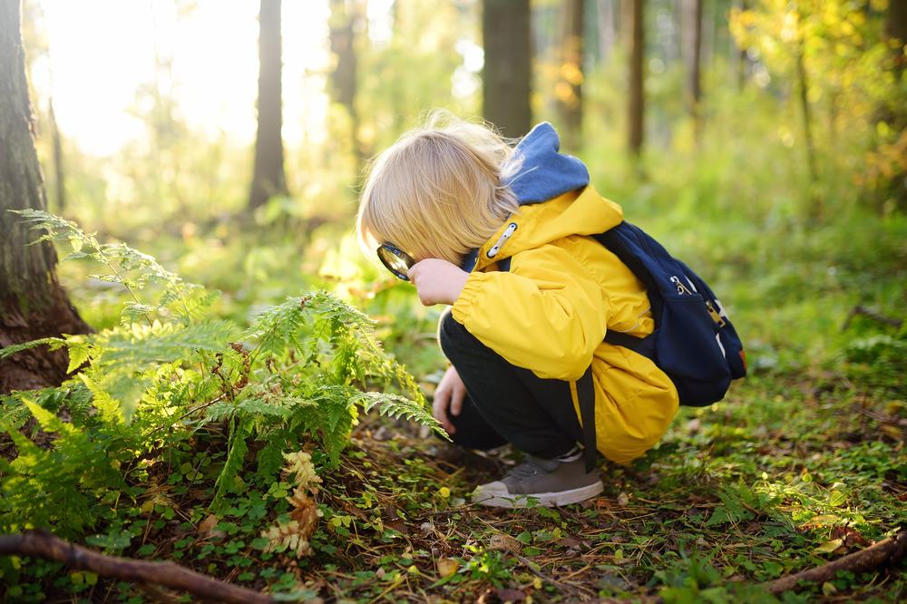 A boy explores the outdoors in the summer with a magnifying glass