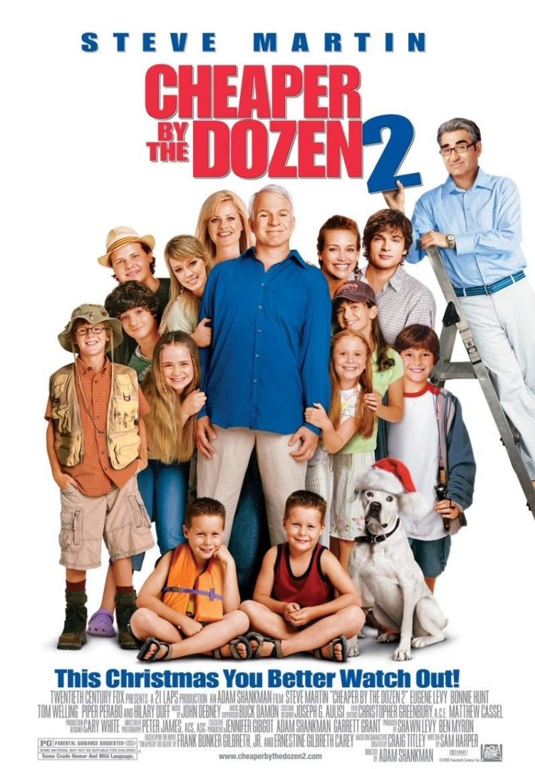 Poster for Cheaper by the Dozen 2