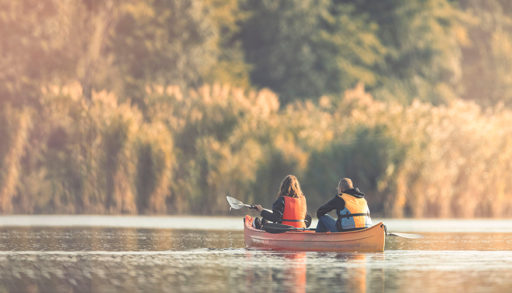 How to paddle your canoe
