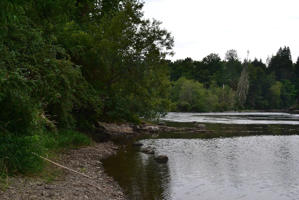 Cottage Riverfront View