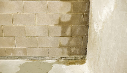 The damp interior walls of a basement