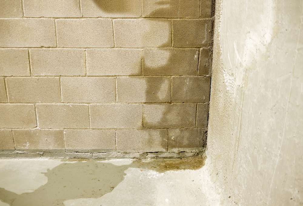 The damp interior walls of a basement