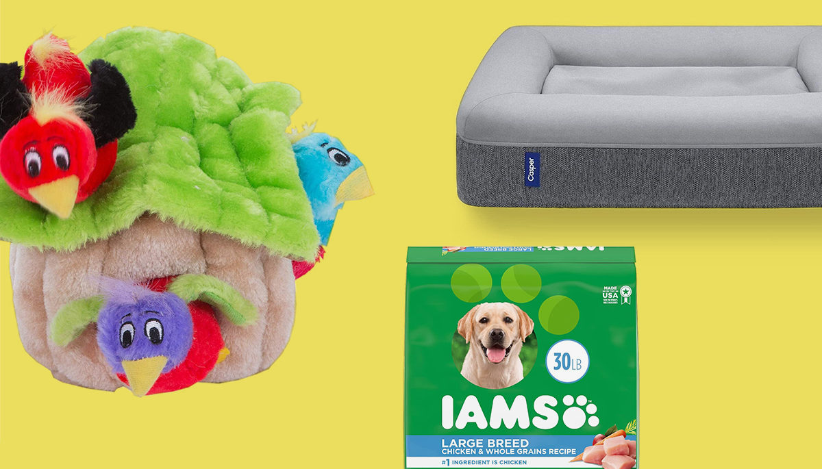 Amazon Prime Day dog accessories on sale