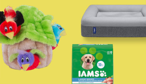 Amazon Prime Day dog accessories on sale