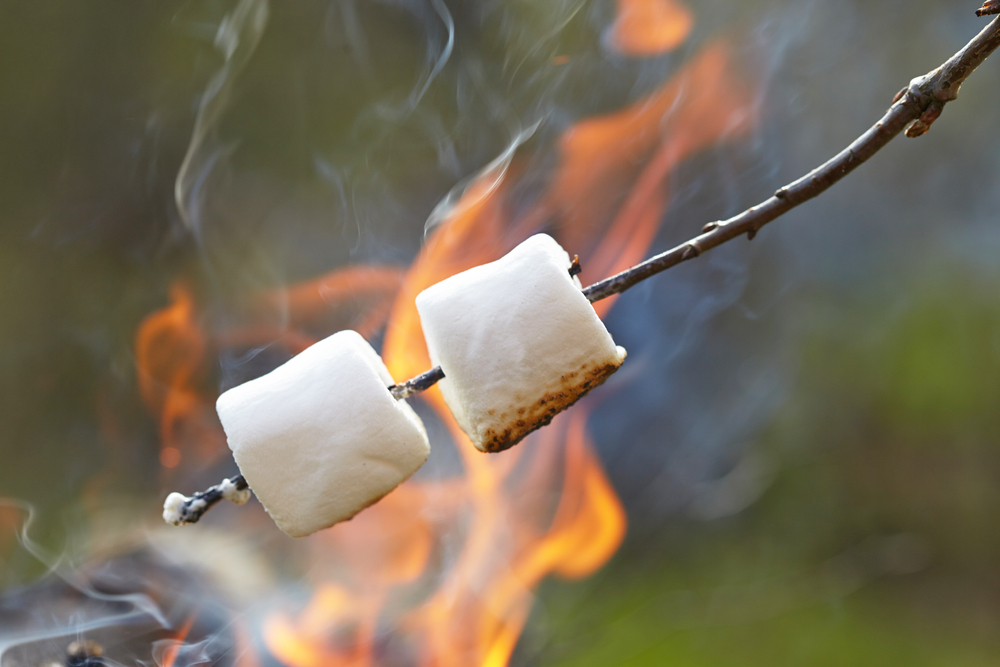 Marshmallows roasting over a camping fire