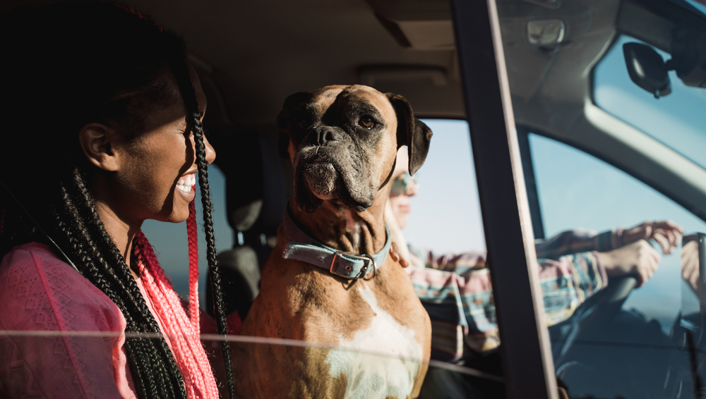 A lady and her dog travel in a car