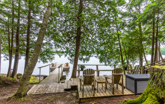 a deck looking out onto a lake among the trees