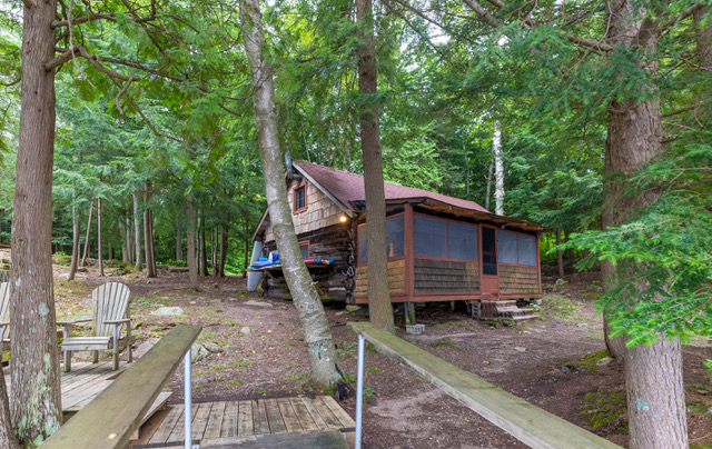 exterior of the second cabin among the trees