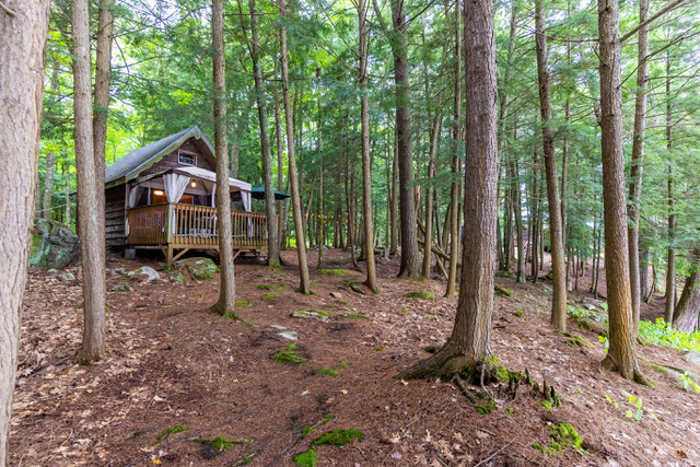 exterior showing the second cabin among the trees